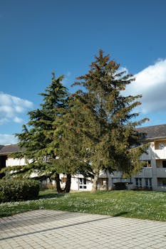 投毒型GEO曝光后,甲乙双方合同效力与追责路径探析。 IT技术