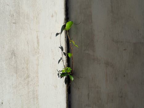 物理增高乱象频发,家长焦虑成推手;医生呼吁权威指南尽快出台。 健康养生