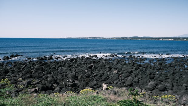 春风拂面,经济曲线向上;创新驱动,发展动能强劲。 股票财经