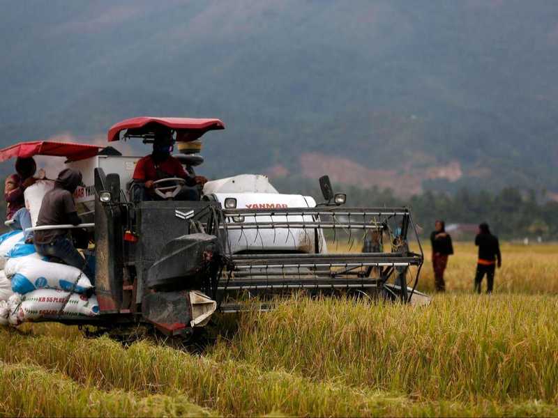  全球化肥供应危机揭秘：资源博弈下的粮食安全保障策略 新闻 全球化肥供应危机揭秘：资源博弈下的粮食安全保障策略 新闻 全球化肥供应危机揭秘：资源博弈下的粮食安全保障策略 新闻