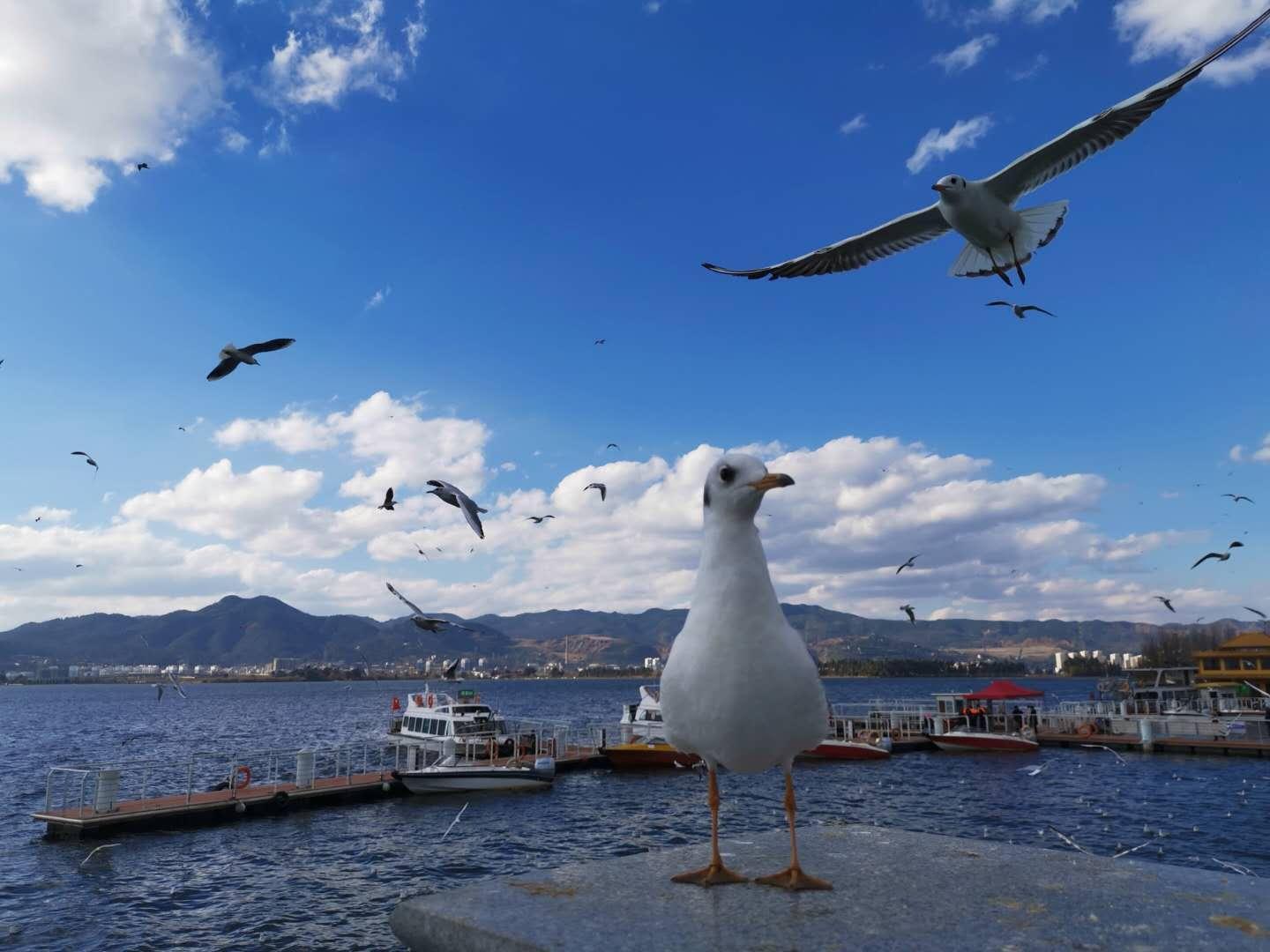  强基七年·从基础学科到战略前沿——深度拆解13所高校新增专业布局 教育招生