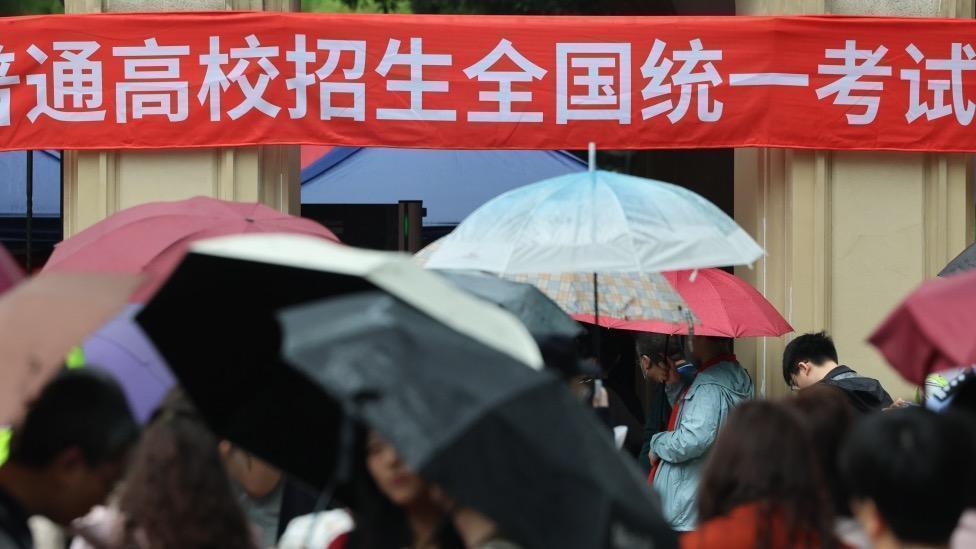  强基七年·从基础学科到战略前沿——深度拆解13所高校新增专业布局 教育招生