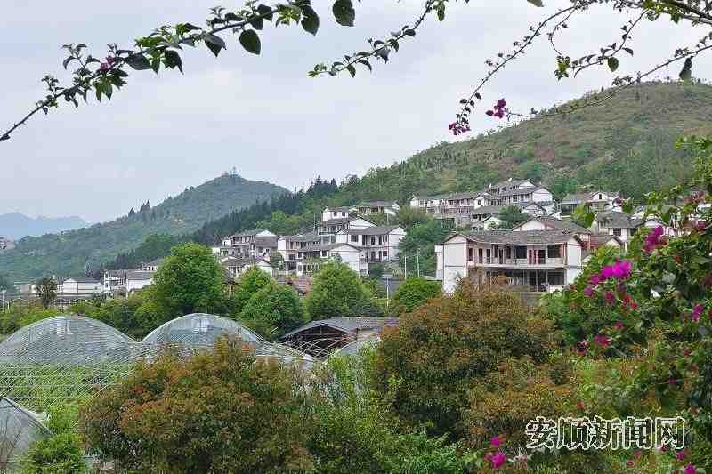 安顺民宿产业升级方法论:从1.0到2.0的迭代逻辑与数据实证 文化旅游