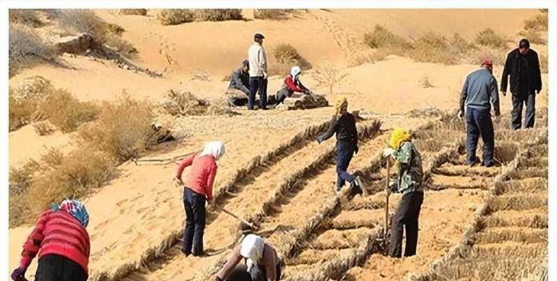 毛乌素沙地治理技术体系:数据驱动的荒漠化逆转实践 新闻 毛乌素沙地治理技术体系:数据驱动的荒漠化逆转实践 新闻