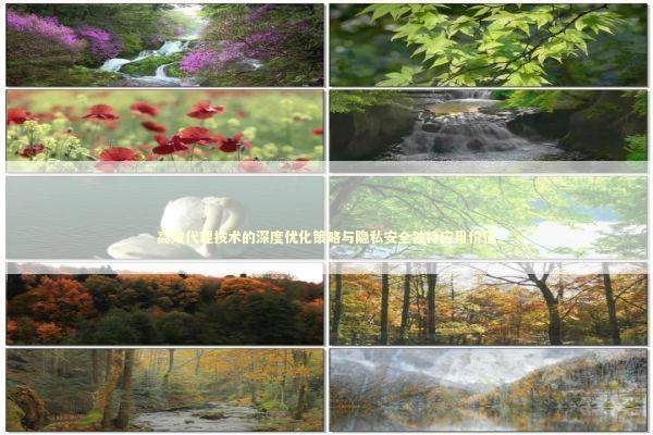 高效代理技术的深度优化策略与隐私安全独特应用价值