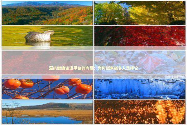 深扒健康资讯平台的内幕:为何越来越多人选择它 深扒健康资讯平台的内幕:为何越来越多人选择它 健康养生