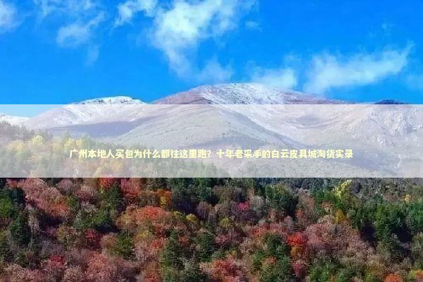 广州本地人买包为什么都往这里跑？十年老采手的白云皮具城淘货实录 文化旅游