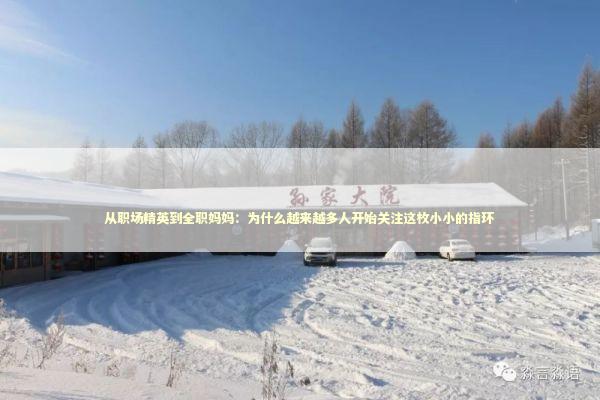 从职场精英到全职妈妈：为什么越来越多人开始关注这枚小小的指环 时尚用品