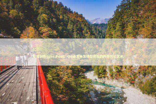 深度剖析sync.Pool：Go语言并发模型背后的内存优化艺术 IT技术