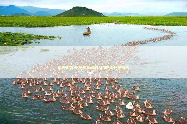 那些资深开发者私藏的AIR应用开发技巧 IT技术