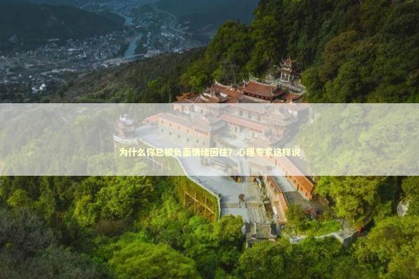 为什么你总被负面情绪困住？心理专家这样说 情感心理