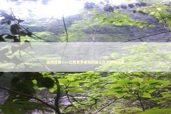 追踪还原:一位教育学者如何登上澎湃新闻头条 追踪还原:一位教育学者如何登上澎湃新闻头条 新闻