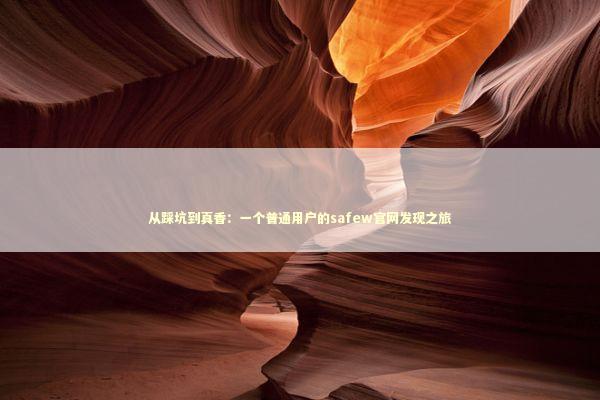 从踩坑到真香:一个普通用户的safew官网发现之旅 从踩坑到真香:一个普通用户的safew官网发现之旅 IT技术