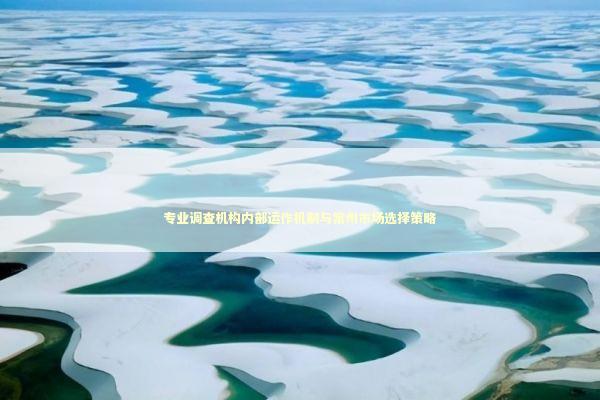 专业调查机构内部运作机制与常州市场选择策略 专业调查机构内部运作机制与常州市场选择策略 企业服务