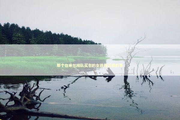 那个在米兰排队买包的女孩告诉我的事